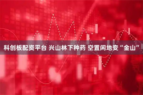 科创板配资平台 兴山林下种药 空置闲地变“金山”