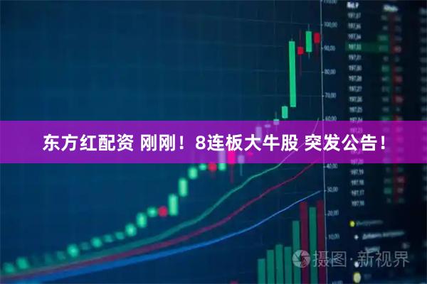 东方红配资 刚刚！8连板大牛股 突发公告！