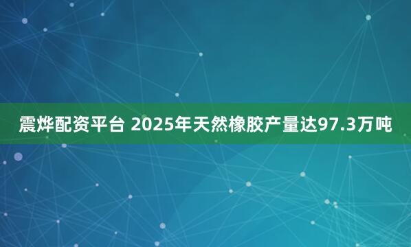 震烨配资平台 2025年天然橡胶产量达97.3万吨