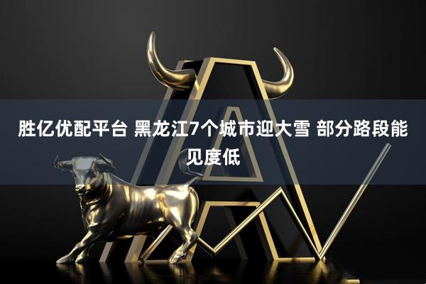 胜亿优配平台 黑龙江7个城市迎大雪 部分路段能见度低