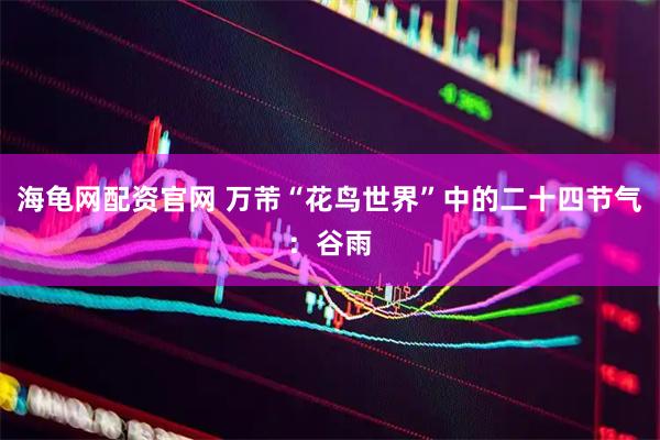 海龟网配资官网 万芾“花鸟世界”中的二十四节气：谷雨